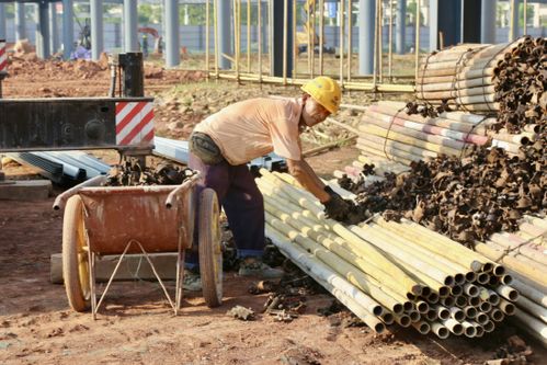 遂宁高新区西部铁路物流园农产品集散中心及配套设施建设错时施工避高温安全进度两不误
